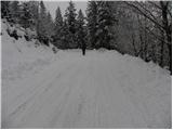 Kranjski Rak - Kapela Marije Snežne (Velika planina)